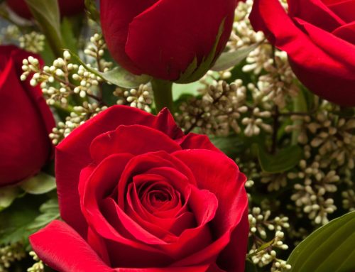 Scarlett’s Flowers: Your Destination for Valentine’s Flowers in Bradenton, FL