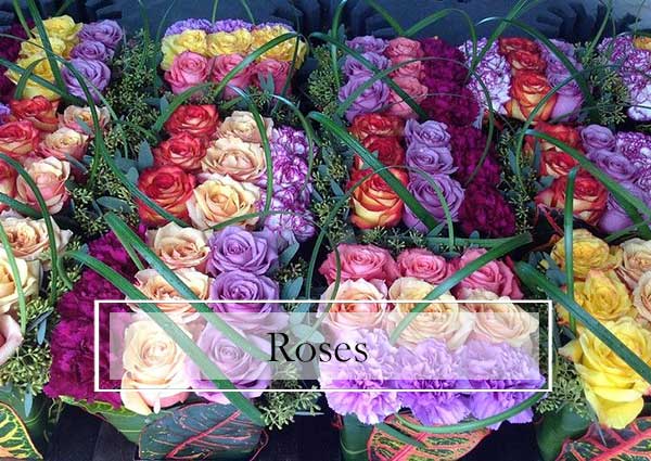 Roses, Fresh Flowers, Florist Bradenton Florida