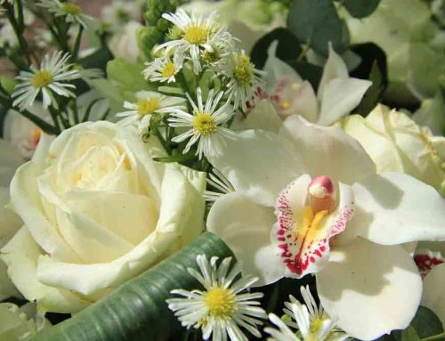 Sympathy Flowers Offer Comfort and Express Heartfelt Condolences